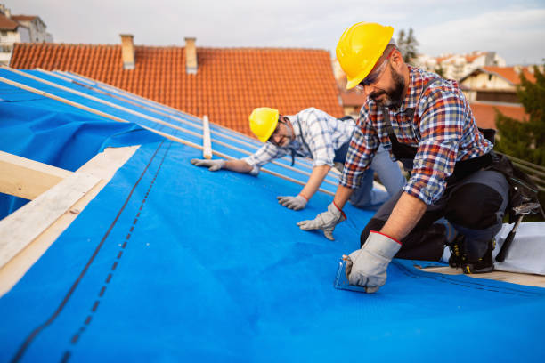 Best Roof Maintenance and Cleaning  in Wellston, OH